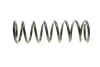 Пружина (задня) Nissan Terrano 2.4/2.7TD/TDi 96-07 (всюдих.)/Ford Maverick 2.4i/2.7TD 93-98 (SUV) LESJOFORS 4262027 (фото 4)