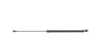 Амортизатор кришки багажника Toyota Land Cruiser 100 98-07 (всюдихід)/Lexus LX 470 98-08 (L) (SUV) LESJOFORS 8192579 (фото 6)
