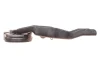 Комплект зчеплення Mazda 3 1.4/1.6i 03-14 (d=200mm) LuK 620 3234 00 (фото 3)
