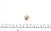 Швидкозємне з\'єднання 1234yf 1/2"(ВТ) MAGNETI MARELLI 007950024930 (фото 6)