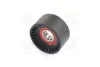 Ролик генератора Nissan Interstar/Primastar/Opel Movano 2.2d/2.5d 00- (натяжний) (60x31) (MPQ0659) MAGNETI MARELLI 331316170659 (фото 1)