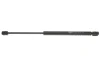 Амортизатор кришки багажника Renault Clio II 98- (фургон/хетчбек) MAGNETI MARELLI 430719024000 (фото 1)