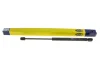 Амортизатор кришки багажника Renault Clio II 98- (фургон/хетчбек) MAGNETI MARELLI 430719024000 (фото 5)