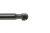 Амортизатор кришки багажника Opel Vectra C 02- (GS0337) MAGNETI MARELLI 430719033700 (фото 3)