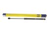 Амортизатор кришки багажника Hyundai i10 07- (хетчбек) MAGNETI MARELLI 430719071200 (фото 5)