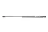 Амортизатор кришки багажника Audi A6 05-11 MAGNETI MARELLI 430719081200 (фото 1)