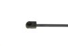 Фото 2 - амортизатор кришки багажника VW Golf Plus V 05-13 (хетчбeк) MAGNETI MARELLI 430719085700 Амортизатор кришки багажника VW Golf Plus V 05-13 (хетчбeк) MAGNETI MARELLI 430719085700 (фото 2)