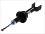 Амортизатор задн лів/прав HONDA ACCORD IV, ACCORD V, ACCORD VI, CIVIC IV, CIVIC V, CR-V I, CR-V II, CRX II, CRX III 1.2-2.4 09.87-09.06 MAGNUM TECHNOLOGY AG4010MT (фото 1)
