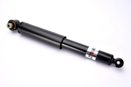 Амортизатор задн лів/прав RENAULT FLUENCE, GRAND SCENIC II, KAPTUR, MEGANE II, MEGANE III, MEGANE IV, SCENIC II 1.3-2.0D 09.02- MAGNUM TECHNOLOGY AGR125MT