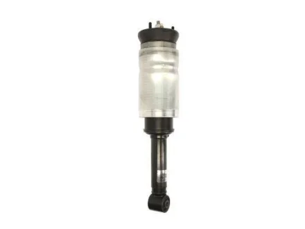 Амортизатор з пневмоподушкою передн лів/прав LAND ROVER DISCOVERY III, DISCOVERY IV, RANGE ROVER SPORT I 2.7D-5.0 07.04-12.18 MAGNUM TECHNOLOGY APL009MT