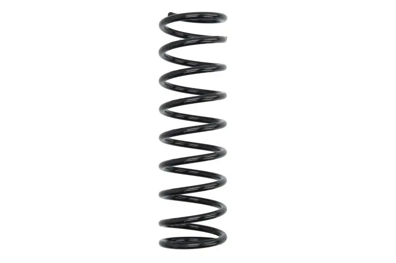 Пружина підвіски задн лів/прав FORD FIESTA, FIESTA IV, FIESTA V MAZDA 121 III 1.0-1.8D 08.95-06.08 MAGNUM TECHNOLOGY SG101MT (фото 1)