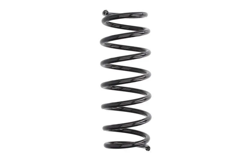 Пружина підвіски задн лів/прав SUBARU JUSTY III SUZUKI IGNIS I, IGNIS II 1.3/1.3D/1.5 09.03- MAGNUM TECHNOLOGY SZ8029MT (фото 1)