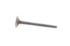 Клапан (впуск) MB OM 611-612 MAHLE MAHLE / KNECHT 001 VE 30532 000 (фото 3)
