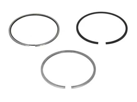 Кільця поршневі Fiat Doblo/ Opel Combo 1.3 JTD 04- (69.60mm/STD) (2-1.5-2) MAHLE / KNECHT 010 04 N0