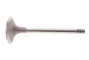 Клапан (впуск) VW Caddy II/T4 1.9D 92-04 (36x7x95.5) MAHLE / KNECHT 029 VE 30900 000 (фото 1)