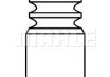 Клапан (впуск) VW Caddy III/Golf/Passat 1.6 05-10/Skoda Octavia 1.6 00-13 (39.4x6x94) MAHLE MAHLE / KNECHT 029 VE 31096 000 (фото 1)