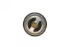 Термостат VW LT/Crafter 2.5SDI/TDI 96-13 (71°C) MAHLE MAHLE / KNECHT TX 25 71D (фото 8)