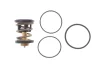 Термостат BMW 5 (G30/F90) 3.0d (B57) 16-20 (91°C) MAHLE / KNECHT TX 496 91D (фото 1)