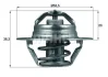 Термостат Citroen Jumper 2.0 94-02/Peugeot Partner 1.1-1.4 96-15/Renault Kangoo 1.9 TDI 00- (88 °C) MAHLE MAHLE / KNECHT TX 88 88D (фото 1)