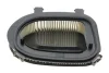 Фільтр повітряний BMW X3 (F25)/X5 (E70/F15) 2.0d N47/3.0d N57 10-17/X6 (E71) 3.0d N57 10-14 -FILTER MANN C 36 014 (фото 2)