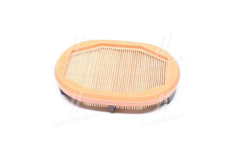 Фільтр повітряний 208x141x45 AEBI TP 420, TP 460 CASE IH FARMLIFT 525, FARMLIFT 526 CATERPILLAR AP 300 DIECI 30.7 GD, T60 (DCI), T70 (KCL), STAR 38.10, STAR 40.7 LINDNER 102 SE5, 112 LDrive MANN CF 2125 (фото 1)