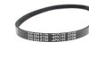 Фото 2 - ремінь генератора Fiat Bravo 1.4 95-01 (4PK750) MEYLE 050 004 0750 Ремінь генератора Fiat Bravo 1.4 95-01 (4PK750) MEYLE 050 004 0750 (фото 2)