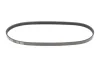 Ремінь генератора Smart 0.6-0.7i 98-07 (4PK790) MEYLE 050 004 0790 (фото 1)