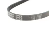 Ремінь генератора Honda Civic VI/Nissan Primera/Citroen Berlingo 1.4-1.6 16V 94-05 (4PK800) MEYLE 050 004 0800 (фото 5)