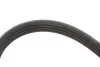 Ремінь генератора Citroen Berlingo/Peugeot Partner 1.1/1.4/1.6 96- (4PK855) MEYLE 050 004 0855 (фото 2)