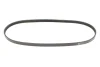 Ремінь генератора Fiat Doblo 1.6i 01- (4PK875) MEYLE 050 004 0875 (фото 1)