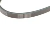 Ремінь генератора Fiat Doblo 1.6i 01- (4PK875) MEYLE 050 004 0875 (фото 4)
