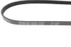 Ремінь генератора Fiat Ducato 1.9D/TD 94-02 (5PK925) MEYLE 050 005 0925 (фото 2)