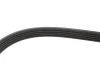 Ремінь генератора Fiat Ducato 1.9D/TD 94-02 (5PK925) MEYLE 050 005 0925 (фото 3)