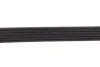 Ремінь генератора Citroen Jumper/Fiat Ducato 2.8HDi/JTD 00- (ALT,WP) (6PK995) MEYLE 050 006 0995 (фото 3)