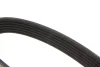 Ремінь генератора Citroen Berlingo/Fiat Scudo 1.9D (1868) (6PK1438) MEYLE 050 006 1438 (фото 2)