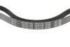 Ремінь генератора Citroen Berlingo/Fiat Scudo 1.9D (1868) (6PK1438) MEYLE 050 006 1438 (фото 3)