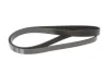 Ремінь генератора Citroen Berlingo/Fiat Scudo 1.9D (1868) (6PK1438) MEYLE 050 006 1438 (фото 4)