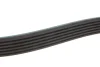 Ремінь генератора Fiat Ducato 2.0JTD 01- (ALT, AC) (6PK1468) MEYLE 050 006 1468 (фото 2)