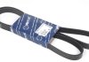 Ремінь генератора VW LT 2.8TDI 116KW (-AC) (6PK1685) MEYLE 050 006 1685 (фото 1)