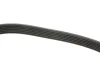 Ремінь генератора MB Vito OM601/602 (AC)/ M111 (PS) (6PK2020) MEYLE 050 006 2020 (фото 3)