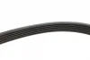 Ремінь генератора VW LT 28-35/28-46 2.8TDI 01-06 MEYLE 050 006 2155 (фото 3)