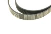 Ремінь генератора поліклиновий MEYLE 050 006 2245 (фото 4)