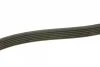Ремінь генератора MB Sprinter CDI (-AC) (з обводним роликом) (6PK2255) MEYLE 050 006 2255 (фото 2)