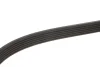 Ремінь генератора MB Sprinter CDI (-AC) (з обводним роликом) (6PK2260) MEYLE 050 006 2260 (фото 2)
