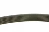 Ремінь генератора Mazda 3/5/6 2.0 DI/CD 02-10 (8PK1226) MEYLE 050 008 1226 (фото 2)