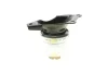 Подушка двигуна (R) VW T5/T6 1.9/2.0 TDI 03- MEYLE 100 199 0214 (фото 7)