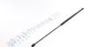 Амортизатор капоту VW Golf V 1.4-2.0 TDI 03-09 MEYLE 140 910 0038 (фото 1)