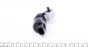 Насос омивача скла BMW 2 (F45/F46)/5 (G31)/X1 (F48)/X2 (F39)/X3 (G01/F97)/Peugeot 4007 07- MEYLE 314 870 0005 (фото 2)
