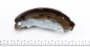 Колодки гальмівні (задні) Ford Fiesta 95-/Fusion 02- (барабанні) (203x38) MEYLE 714 533 0000 (фото 2)