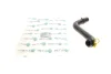 Патрубок радіатора (нижній) Ford Fiesta 1.25-1.6 16V 01-08 (R) MEYLE 719 222 0005 (фото 1)
